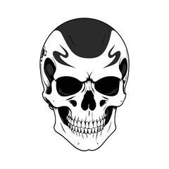 Fototapeta premium Skull skeleton vector design in different styles with solid background