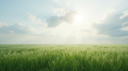 Obraz premium Serene Meadow with Swaying Tall Grass Under a Cloudy Sky