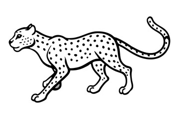 cheetah ready vector illustration