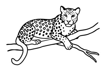 leopard on a branch