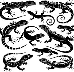 set of black and white lizard