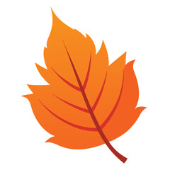 leaf isolated on white