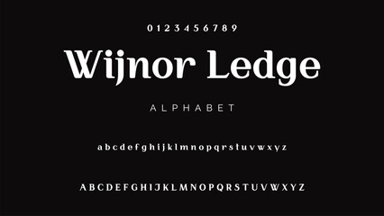 Luxury serif font in modern style. Elegant wedding alphabet letters font and number. Typography Luxury classic lettering serif fonts decorative vintage retro logo