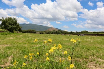 Majestic Views of Pyramids in Teotihuacan: An Ancient Wonder of Mexico