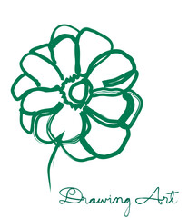 Peony vector illustration. green and white floral vector illustration of a peony