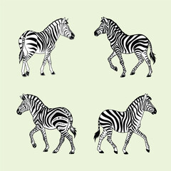 Abstract illustration featuring two monochrome zebra silhouettes vector