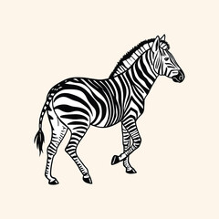 Abstract illustration featuring two monochrome zebra silhouettes vector