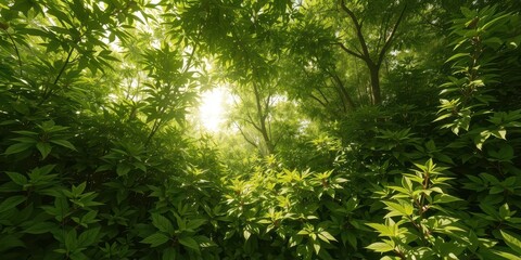 Fototapeta premium Overgrown, vibrant green foliage teeming with life, sunlight dappling through leaves, thriving, moist