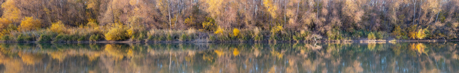 panorama of the river with dense forest along the entire bank
