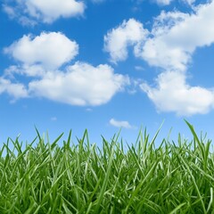 Obraz premium A sunny blue sky with fluffy clouds above a vibrant green grass field, evoking a sense of tranquility and nature.