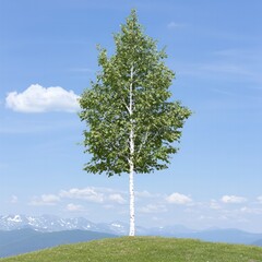 Majestic Tree Standing Alone in Serene Mountain Landscape Photography Tranquil Environment