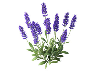 Naklejka premium Lavender Bouquet Isolated on Transparent Background for Design Use