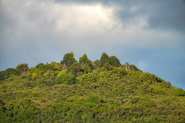 Clouds Over a Rainforest Mountain in Honolulu, Hawaii.