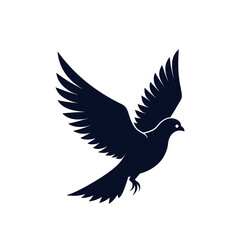 Obraz premium dove isolated on white