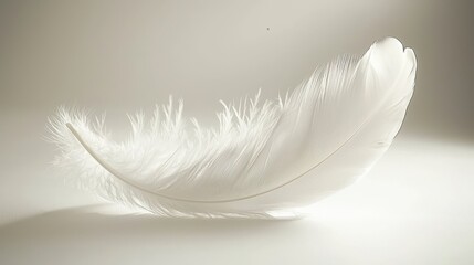 Obraz premium Delicate white feather resting softly on a light background.