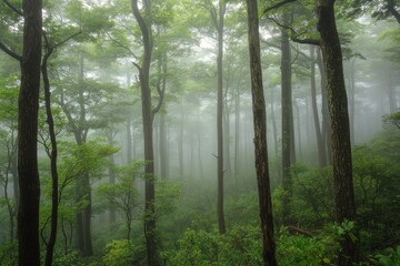 Misty landscape featuring a solitary tree atop a rocky hill in a serene environment