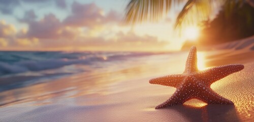 Fototapeta na wymiar Starfish on a tropical beach at sunset.