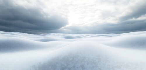 Obraz premium An untouched blanket of snow covering a wide-open field under overcast skies