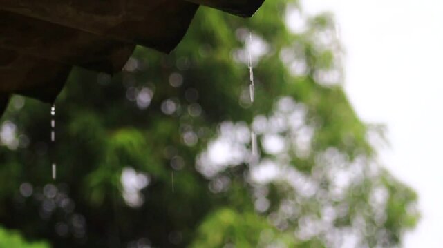 chuva cai do telhado agua natureza