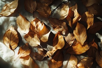 Dried leaves scattered on a textured fabric surface