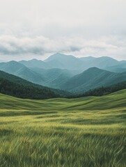 Serene Grassland Under Mountain Vista - Tranquil rural landscape, lush green fields gently rolling towards majestic mountains under a soft sky.  Peace, nature, serenity, freedom, escape.