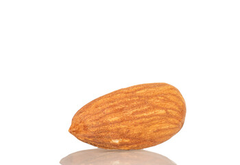 Fragrant roasted almonds, close-up, isolated on white background.