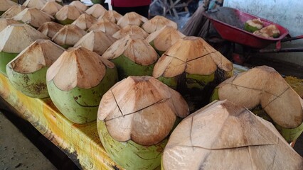 landscape photo of young coconut ready to be served. photo of fresh young coconut ready to be served