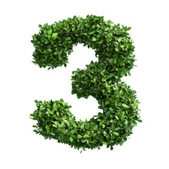 Green leaves form number three on transparent background.