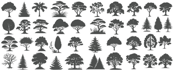 Set of trees silhouette vector. Forest trees, jungle plants,  bare tree, big tree vector collection isolated on white