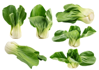 Bok Choy isolated on white background, full depth of field