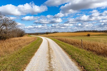 A serene gravel road winds through golden fields under a bright blue sky adorned with fluffy clouds, inviting exploration of the peaceful countryside.