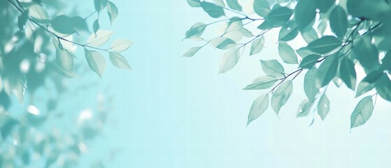 Capturing blurred leaves and blue sky ideal nature photography for serenity and aesthetic