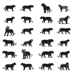 tiger silhouette set photo