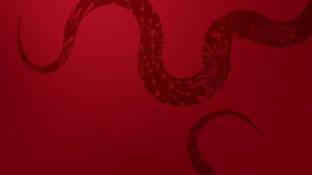 Chinese New Year 2025. Year of the Snake Celebration. Elegant greeting design for Chinese New Year 2025, featuring a red snake, firework patterns. Seamless Loop.