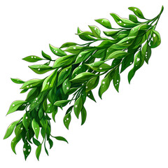 Lush green sprig with vibrant leaves and dew drops.
