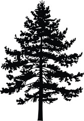 Black Vector Silhouette of a Full Pine Tree on a Pure White Background, Perfect for Nature and Minimalist Themes