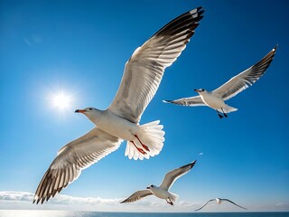 Obraz premium Northern Cardinal perching on branch or flying up to bird white background