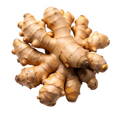 raw brown organic spicy ginger root on transparent background