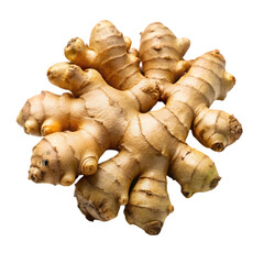 raw brown organic spicy ginger root on transparent background