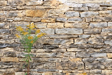 yellow beige sand color stone brick vertical wall