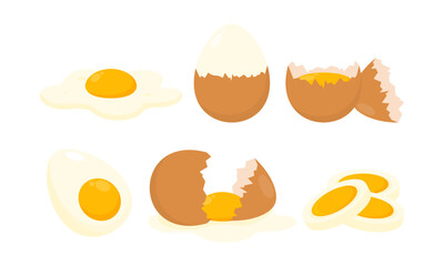 Set of Eggs Flat Illustration. Organic Farm Eggs in Different Forms. Cooked Eggs, Boiled, Fried, Raw and Pan Eggs Collection