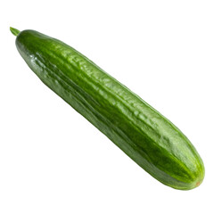raw green organic english cucumber on transparent background