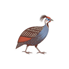 guinea hen vector illustration 