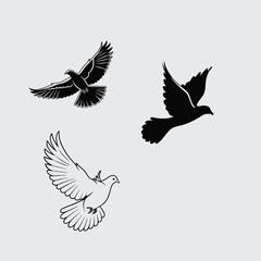 Dove bird image silhouette vector art and illustration