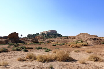 Ruins of Babylon and palace of Saddam Hussein. Babylon, Iraq