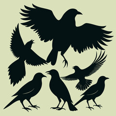 silhouettes of birds