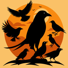 silhouettes of birds