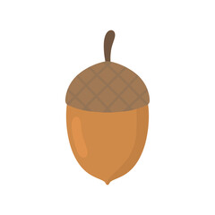 acorn oak tree fruit flat design vector illustration.