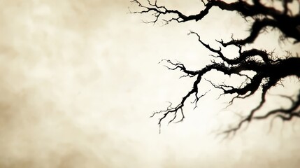 Obraz premium A black and white photo of a tree with no leaves