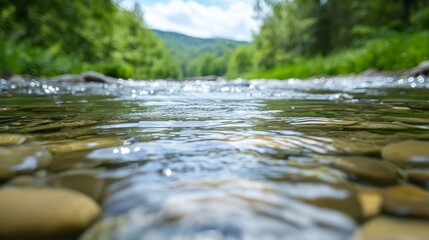Fototapeta premium A river with rocks and trees in the background